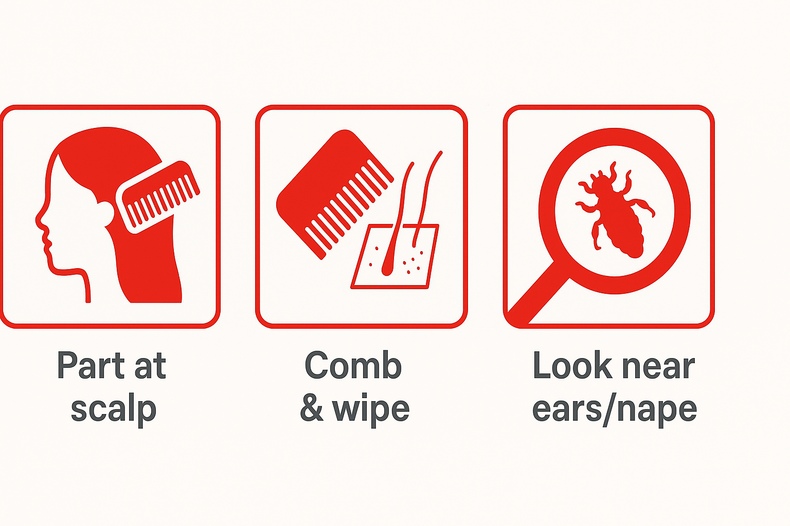 How to properly Screen for head lice